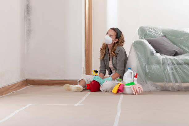 Reliable Mold Removal contractor in Glenview, IL by WQB Mold Removal